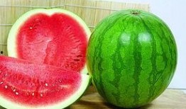 迅速吃瓜拍摄视频教程大全,迅速吃瓜视频教程大全攻略