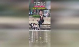 路边打架吃瓜群众视频大全,围观群众视频集锦