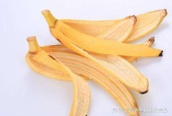吃瓜倒吐香蕉皮视频