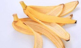 吃瓜倒吐香蕉皮视频