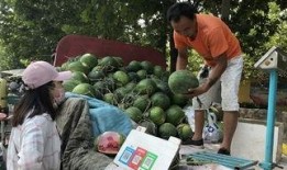 济宁吃瓜视频,一网打尽本地新鲜趣事