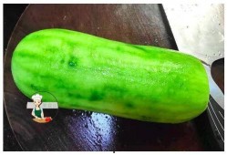 半夜打包瓜菜可以吃吗视频,揭秘夜间美食的奥秘