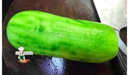 半夜打包瓜菜可以吃吗视频,揭秘夜间美食的奥秘