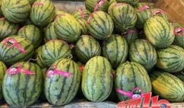 吃大瓜的视频模板怎么发,轻松打造热门短视频