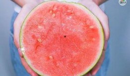 贵港吃瓜事件视频,一场网络热议的真相探寻之旅