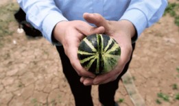 济宁吃瓜视频,一网打尽本地新鲜趣事