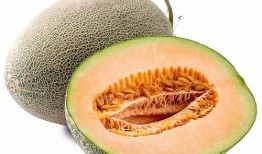 靓仔吃蜜瓜视频下载安装