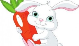 小兔子吃葫芦瓜的视频教程,趣味视频教程解析