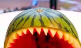 5分钟视频吃瓜,揭秘热门吃瓜事件背后的真相