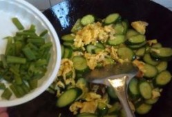 猫吃炒小瓜吗会死吗视频,揭秘潜在致命风险