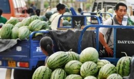 云南文山吃瓜男子视频,视频引发网友热议