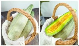 蜜瓜青了可以吃吗视频大全,蜜瓜青了还能吃吗？视频大全揭秘