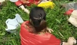 广西大妈吃瓜视频完整版,一场接地气的民间美食盛宴