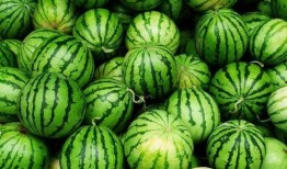 四连拍吃瓜视频,揭秘娱乐圈幕后风云