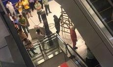 网红扶梯吃瓜视频,网红视频引发网友热议，真相究竟如何？