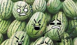 聪明吃瓜视频,短视频中的智慧与趣味