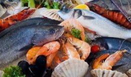 海边吃螺瓜视频,一场海边美食之旅