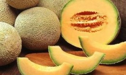 主播吃哈密瓜声控视频下载,主播吃哈密瓜视频下载，甜蜜瞬间尽收眼底