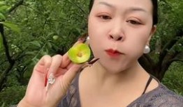 陈嘉佳吃蜜瓜视频大全下载,甜蜜瞬间，尽收眼底