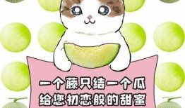 每日吃瓜大赛高清视频,高清视频揭秘精彩瞬间