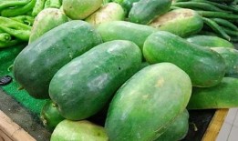 白驳瓜怎么吃最好吃视频,视频教你如何吃出最佳口感