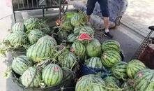 诸城西城吃瓜事件视频曝光