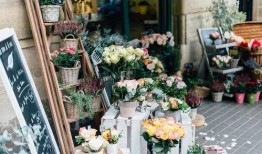 宁波花店吃瓜事件视频播放,一场意外的网络风波揭秘