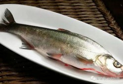 鱼闪闪吃瓜视频在线观看,带你领略网络娱乐新风尚