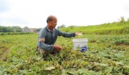贵港吃瓜事件视频,一场网络热议的真相探寻之旅