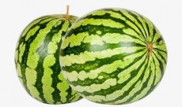 吃瓜素材视频下载网站大全,一网打尽，轻松下载热门视频