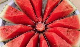 每日吃瓜大赛高清视频,高清视频揭秘精彩瞬间