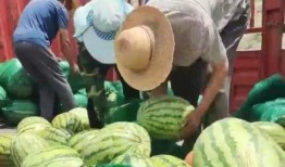 扬州广陵区吃瓜事件视频,扬州广陵区“吃瓜事件”引发社会关注