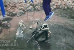 网络吃瓜被群殴视频,一场虚拟与现实冲突的警示