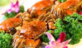 刘大瓜吃甲鱼烧鸡视频,甲鱼烧鸡大比拼