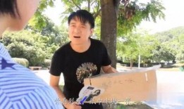 街头免费吃瓜骗局视频