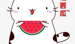 哈哈吃瓜视频表情包下载,趣味横生的网络潮流