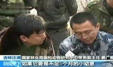 廊坊吃瓜视频最全免费观看,免费观看，一网打尽热门趣事