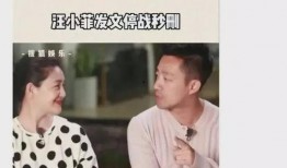吃瓜汪小菲事件视频,揭秘背后真相与网络舆论风暴