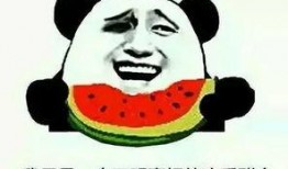 评论中国吃瓜视频,网络视频中的社会现象与舆论风向