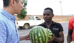 没人看吃瓜视频了,观众口味转变背后的故事