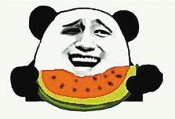 奇葩吃瓜群众的视频,一场视觉盛宴的狂欢