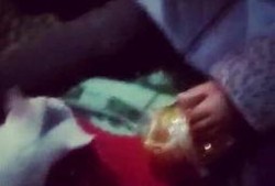 猫咪吃瓜现场视频,萌态百出，笑料连连