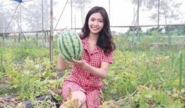 夏天的味道吃瓜视频,跟随“吃瓜视频”探寻夏天的味蕾之旅