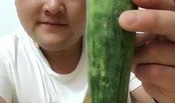 新加坡闪婚吃瓜视频,一场吃瓜群众的视觉盛宴