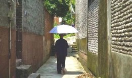 镇平公园吃瓜事件视频,一场引发热议的街头冲突