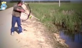 吃瓜群众钓鱼视频,揭秘钓鱼乐趣与技巧，吃瓜群众围观热议