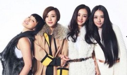 吃瓜少女刘翠华视频,揭秘娱乐圈幕后真相