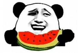 吃蜜瓜直播搞笑视频下载,甜蜜蜜瓜，欢乐满屏