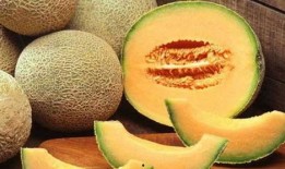 老鹰吃哈密瓜视频大全集,老鹰捕食哈密瓜精彩瞬间大盘点