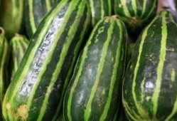 经常吃梢瓜好不好吃呢视频,常吃梢瓜，口感与营养双重享受